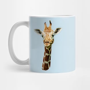 Giraffe stare Mug